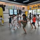 용인대 강한태권도장 이미지