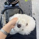 K정치과기공소 | 휴가 끝 현생 복귀 (9/5-9/14)