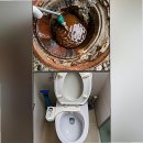 빠른정비 | 의정부하수구막힘 빠른 정비로 해결한 후기