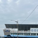 세븐일레븐 삼성10호점 | 속초 동명항 회센터 자연산 잡어 3만원치와 성게알 한 통 / 경매입찰 구경 후기