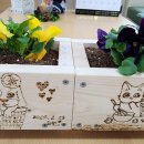 신송2리 이미지