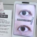 보정동 카페거리 사거리(안경점) | 용인 죽전 속눈썹펌 추천｜보정동 브로우하지 2달 유지력 최상 후기