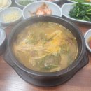 염소총각 - 청주시 서원구 청남로 1806 | 속 풀리는 맛 남이면 가마리 맛집 염소 총각 방문 후기