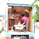 성실교회일원 이미지