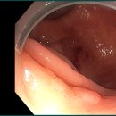 큰으뜸내과의원 이미지