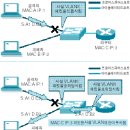 [스위치 계층 보안②] 레이어2 공격 유형 (2)_펀글 이미지
