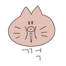신아니고 이미지