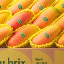 무지개할인마트 이미지
