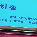 개똥아부탁해 이미지