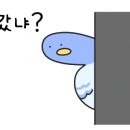 여행집