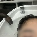 모트헤어 | 쿨톤 블랙 헤어 변신! 상현역 미용실, 그레이모트 방문기