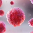 에스미의원 이미지