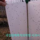 사과사랑동호회