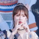 댕댕이 컷 이미지