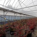 가온농장 이미지