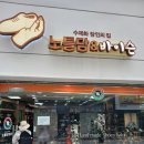 노틀담&바이슨