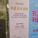 루미에르베이커리 | 대천 보령 쏠레르호텔 내돈내산 조식후기