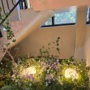 15.6커피숍 이미지