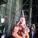 더 헐크 이미지