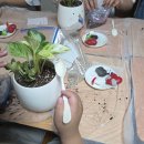 글누리지역아동센터 | 부산 금정구 장전동 글누리지역아동센터 힐링 원예 출강 프로그램