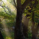 동위천2길 이미지