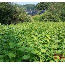 청운면사무소 1층 이미지