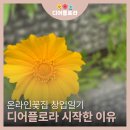 디어플로라 이미지