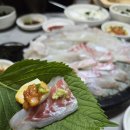 회신물회 | 대구북구청맛집 회신물회 솔직후기