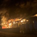 양계장닭한마리 이미지