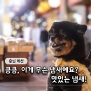 시장닭볶음 | 예산상설시장 먹거리 닭볶음 후기 주차 장날 정리