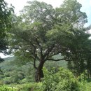 계척체육공원 이미지