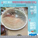 청해코아초장집 | 화명동 맛집] 화명코아활어회센터 청해, 청해 코아 횟집 내돈내산 솔직후기, 제철 하모(갯장어)와 농어...