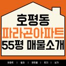 대명파라곤부동산공인중개사사무소 | 호평동부동산, 호평파라곤 55평 B타입 107동 일부 인테리어 된 뷰가 예쁜 집 (실제매물)