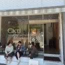 캑티 | 목포 신상 카페 목포역근처카페 분위기 좋은 디저트 카페 추천 "캑티" 내돈내산 솔직후기