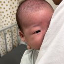 나은병원 신관 3층 | 분당차병원 RSV(호흡기세포융합바이러스) 예방접종 후기