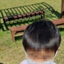 나무와 숲 어린이집 이미지