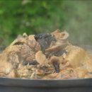 1379민박 이미지