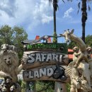 백호카랜드 | 아키요시다이 사파리랜드 (자차입장 먹이체험 코스추천 이용권)