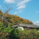 도덕보건진료소 이미지