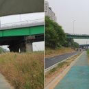오유천 이미지