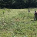 손별농장 이미지