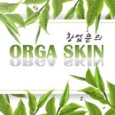 올가스킨 헤어