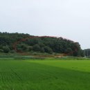 교동면-1 이미지