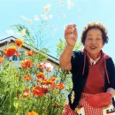 워리워리 이미지