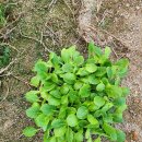 대명농자재 이미지