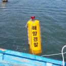 태양광 부표등 SB1200-300 제작 공급 / 제주도 추가공급 이미지