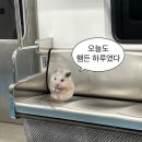 용산마을회관 이미지