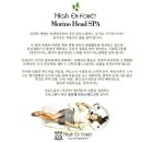 하이스파 이미지