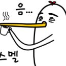 대솔식품 네이버블로그