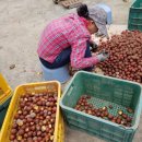 만재농장 이미지